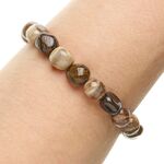 Petrified Wood