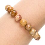 Petrified Wood 10mm Bead Bracelet