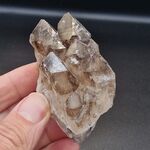 Smoky Quartz Elestial Crystal #1