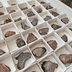 Natural Lodestone Specimins Sold Singly