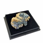 Golden Rutile with Hematite No5