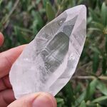 Lemurian Seed Crystal No1