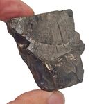 Elite Nobel Shungite no3