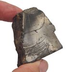 Elite Nobel Shungite no3