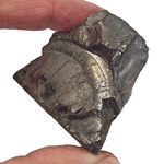 Elite Nobel Shungite no3
