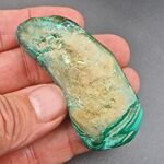 Malacholla Polished Free Form no5