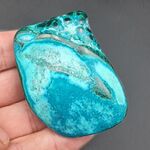 Malacholla Polished Free Form no7