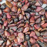 Rhodonite Bulk Tumble Stones