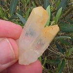 Mango Quartz Point No1