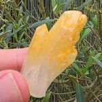 Mango Quartz Point No2