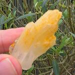 Mango Quartz Point No2