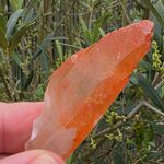 Orange Tangerine Quartz Point No2