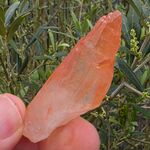 Orange Tangerine Quartz Point No2