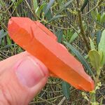 Orange Tangerine Quartz Point No1