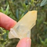 Mango Quartz Point No3