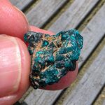 Dioptase Crystals in Matrix #2