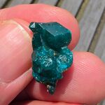 Dioptase Crystals in Matrix #3