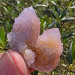 Amethyst Spirit Quartz No8