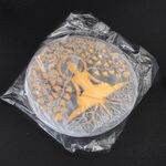 Selenite Plate Gold Buddha 10cm