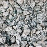 Tree Agate Tumbles bulk