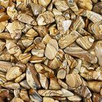 Kalahari Picture Jasper Bulk