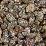 Bulk Leopardskin Jasper Tumblestones