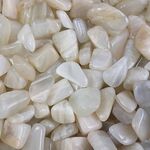 Bulk Moonstone Pastel