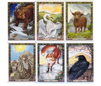 Druid Animal Oracle cards