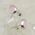 Rose Quartz Oval Stud Earrings 10mm