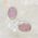 Rose Quartz Oval Stud Earrings 10mm