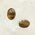 Tiger Eye Oval Stud Earrings 10mm