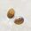 Tiger Eye Stud Tear Drop Earrings