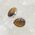 Tiger Eye Stud Tear Drop Earrings