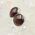 Garnet Round Stud Earrings 8mm