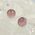 Rose Quartz Round Stud Earrings 8mm