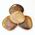 Petrified Wood Palm Stones