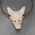 Rose Quartz Wolf Head Pendant