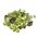 Small Peridot Crystals Rough 5grams