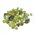 Small Peridot Crystals Rough 5grams