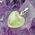 Green Prehnite Heart Pendant