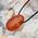 Carnelian Oval Tumble Stone Pendant