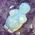 Venus Goddess in Opalite