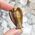 Gold Tiger Eye Angel 4cm