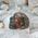 Tiny Seftonite Bloodstone Crystal Skulls 1.7cm tall