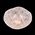 Rose Quartz Crystal Gem Bowl