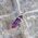 Amethyst Crystal Pendant