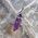 Amethyst Crystal Pendant