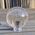 Quartz Crystal Sphere