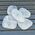 Quartz Crystal Palm Stones