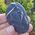 Chrysanthemum Stone